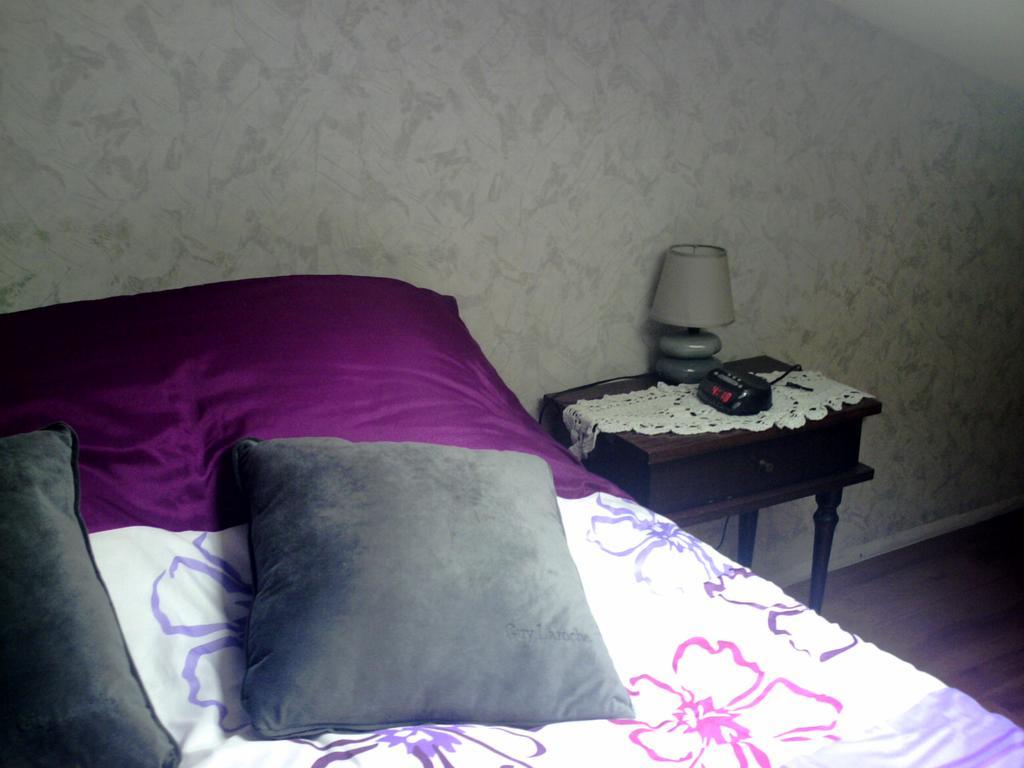 Chambres D'Hotes Riguet Льо Ман Екстериор снимка